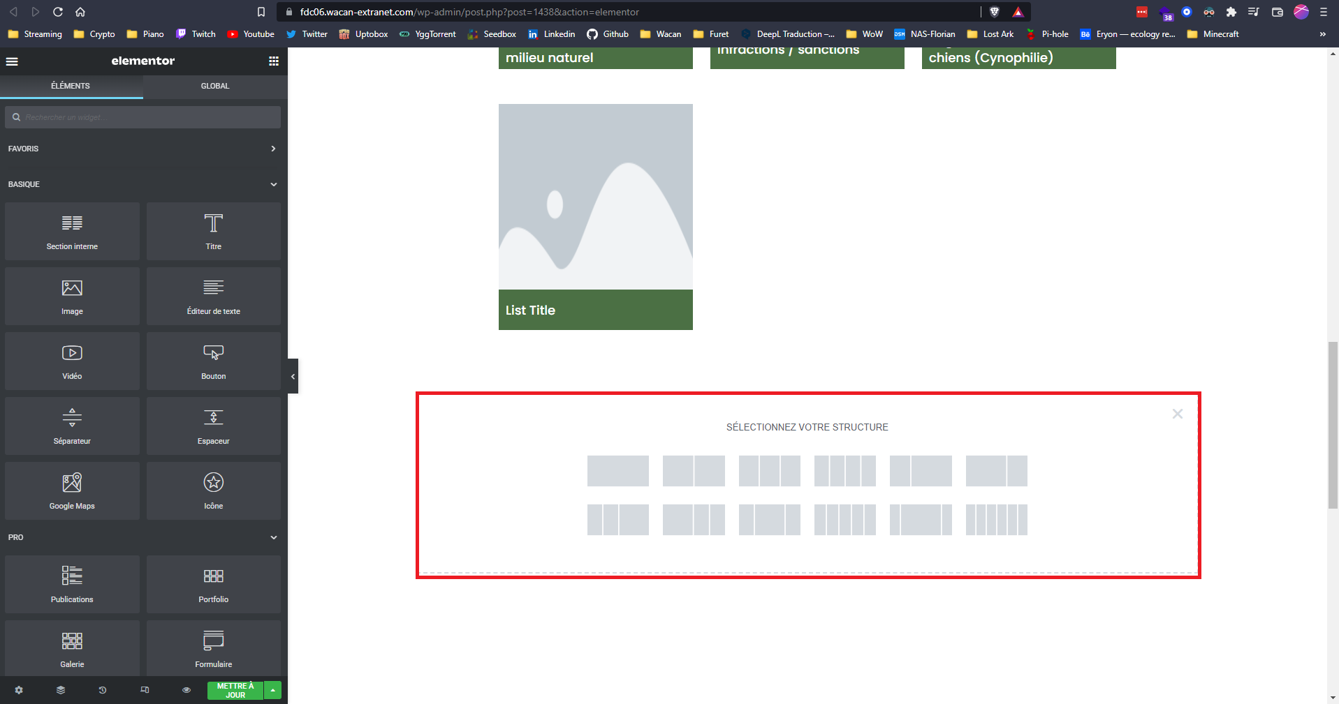 elementor selectionner un style de section